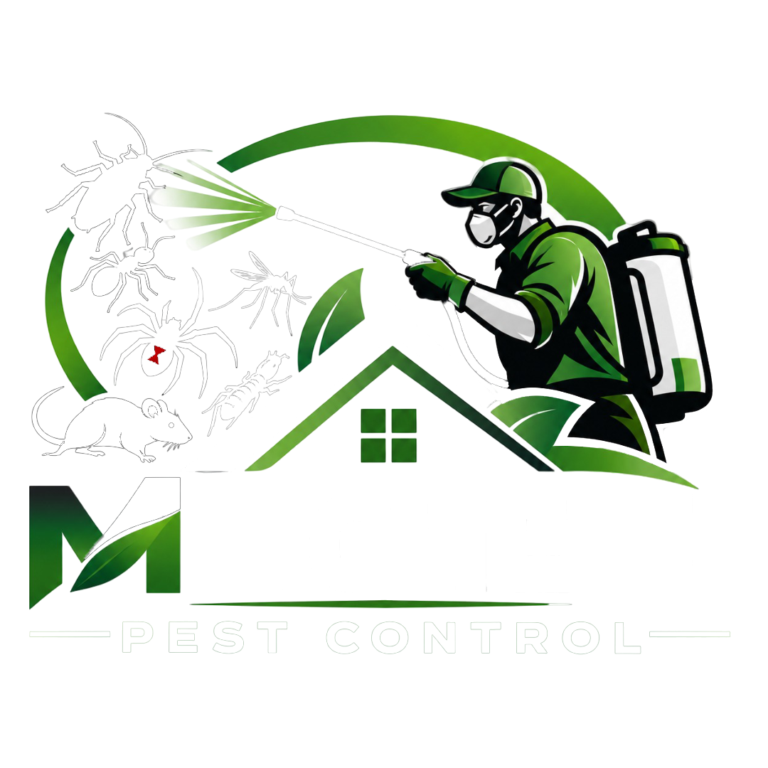 website-logo
